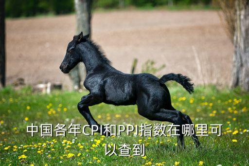 中國(guó)各年CPI和PPI指數(shù)在哪里可以查到