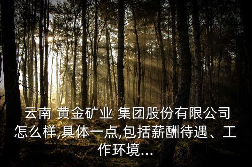  云南 黃金礦業(yè) 集團(tuán)股份有限公司怎么樣,具體一點(diǎn),包括薪酬待遇、工作環(huán)境...