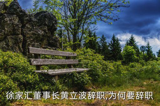 徐家匯董事長(zhǎng)黃立波辭職,為何要辭職