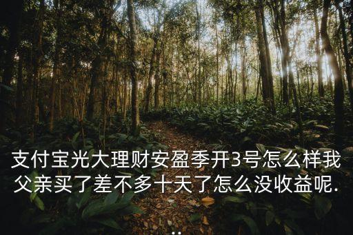 支付寶光大理財(cái)安盈季開(kāi)3號(hào)怎么樣我父親買(mǎi)了差不多十天了怎么沒(méi)收益呢...