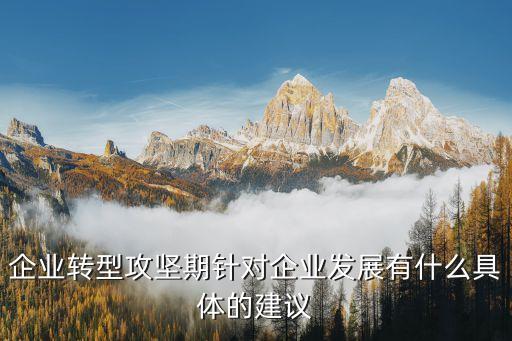 企業(yè)轉(zhuǎn)型攻堅期針對企業(yè)發(fā)展有什么具體的建議