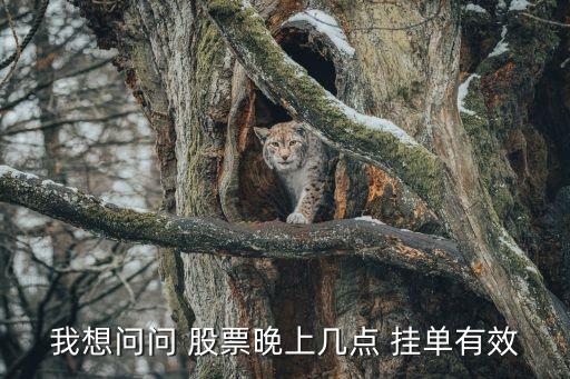 我想問(wèn)問(wèn) 股票晚上幾點(diǎn) 掛單有效