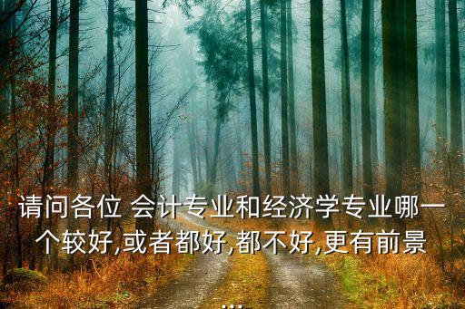 請問各位 會計(jì)專業(yè)和經(jīng)濟(jì)學(xué)專業(yè)哪一個(gè)較好,或者都好,都不好,更有前景...