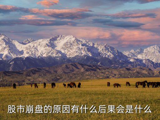 法國(guó)密西西比股票泡沫,密西西比泡沫產(chǎn)生的原因
