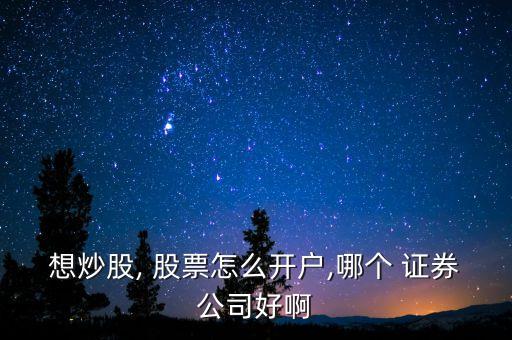 想炒股, 股票怎么開(kāi)戶(hù),哪個(gè) 證券公司好啊