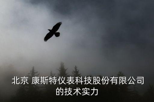  北京 康斯特儀表科技股份有限公司的技術實力