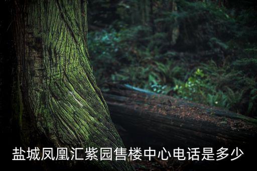鹽城鳳凰匯紫園售樓中心電話(huà)是多少