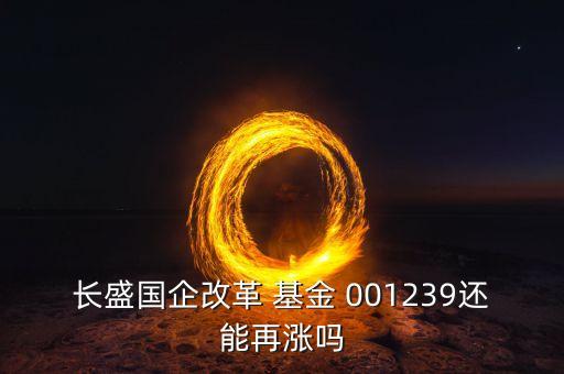 長(zhǎng)盛國企改革 基金 001239還能再漲嗎