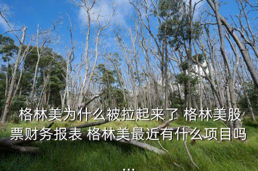  格林美為什么被拉起來了 格林美股票財務(wù)報表 格林美最近有什么項(xiàng)目嗎...