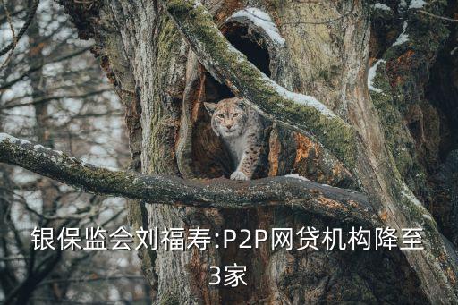 影子銀行與金融穩(wěn)定,如何認(rèn)識影子銀行給金融穩(wěn)定帶來的威脅?