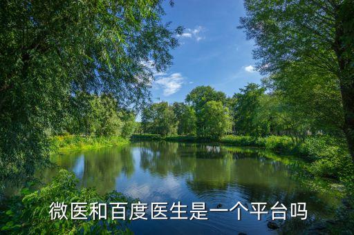  微醫(yī)和百度醫(yī)生是一個平臺嗎