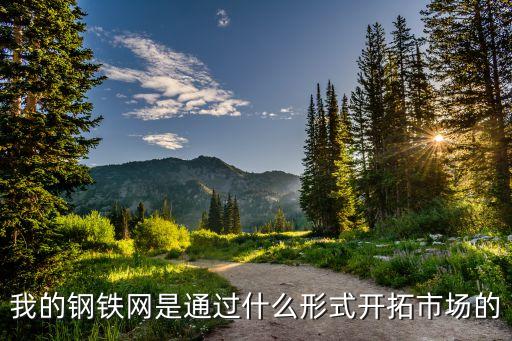 我的鋼鐵網(wǎng)是通過(guò)什么形式開(kāi)拓市場(chǎng)的