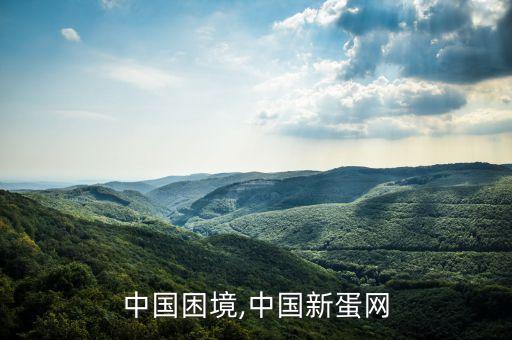新蛋中國困境,中國新蛋網
