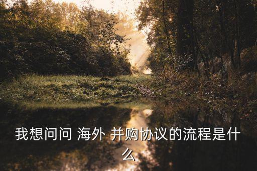 我想問問 海外 并購(gòu)協(xié)議的流程是什么