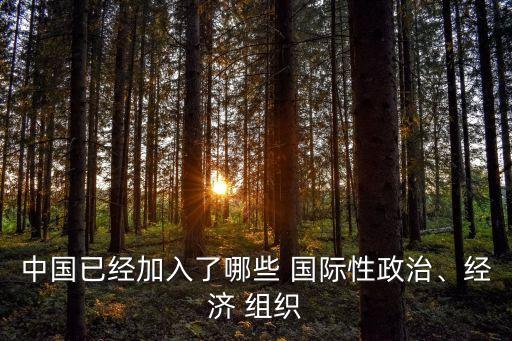 中國已經加入了哪些 國際性政治、經濟 組織