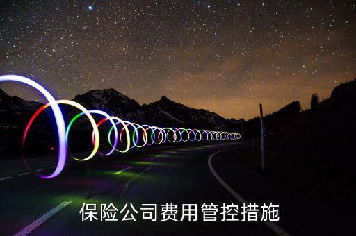 保險(xiǎn)公司費(fèi)用管控措施