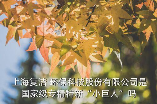  上海復(fù)潔 環(huán)保科技股份有限公司是國(guó)家級(jí)專(zhuān)精特新“小巨人”嗎