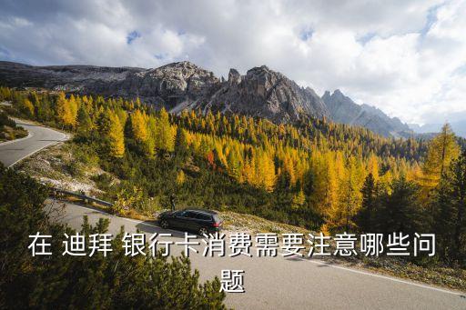在 迪拜 銀行卡消費(fèi)需要注意哪些問題