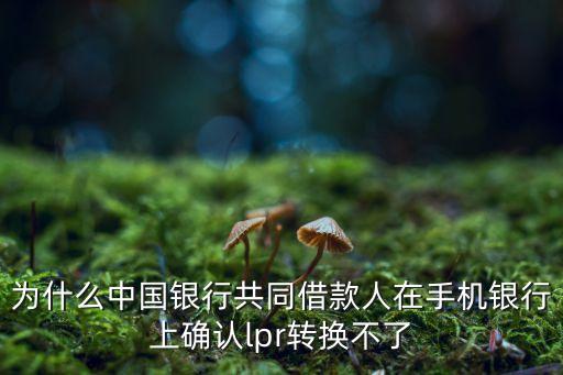 為什么中國銀行共同借款人在手機銀行上確認lpr轉(zhuǎn)換不了