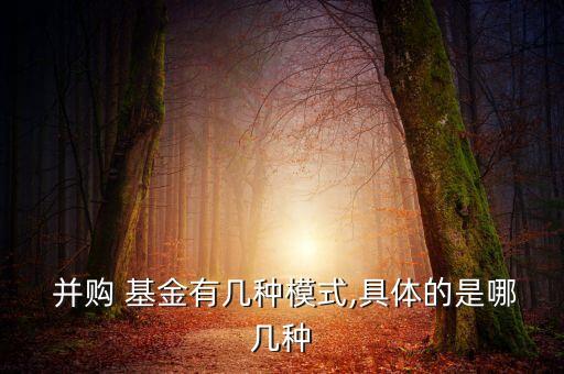  并購(gòu) 基金有幾種模式,具體的是哪幾種