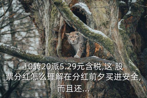 10轉(zhuǎn)20派5.29元含稅,這 股票分紅怎么理解在分紅前夕買進安全,而且還...