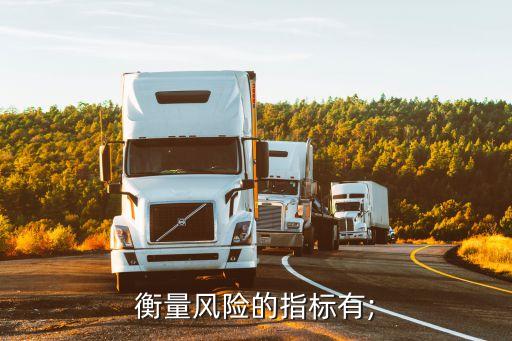 衡量風(fēng)險的指標(biāo)有;