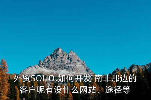 外貿(mào)SOHO,如何開(kāi)發(fā) 南非那邊的客戶呢有沒(méi)什么網(wǎng)站、途徑等