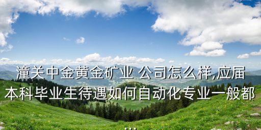 潼關(guān)中金黃金礦業(yè) 公司怎么樣,應(yīng)屆本科畢業(yè)生待遇如何自動化專業(yè)一般都...