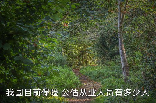 我國目前保險(xiǎn) 公估從業(yè)人員有多少人