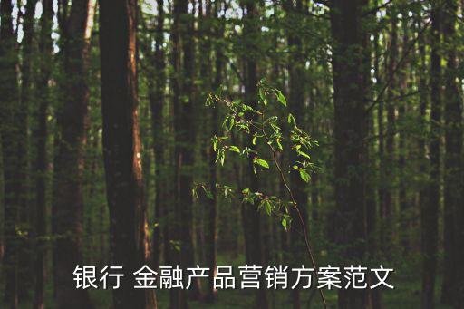  銀行 金融產(chǎn)品營(yíng)銷方案范文