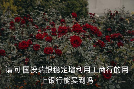 請(qǐng)問(wèn) 國(guó)投瑞銀穩(wěn)定增利用工商行的網(wǎng)上銀行能買到嗎