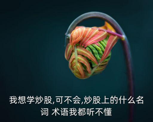 我想學炒股,可不會,炒股上的什么名詞 術(shù)語我都聽不懂
