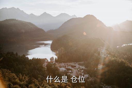 股票倉位計(jì)算