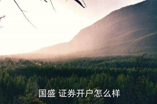  國(guó)盛 證券開戶怎么樣