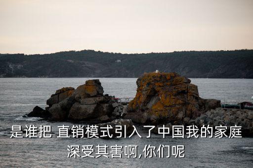 是誰把 直銷模式引入了中國我的家庭深受其害啊,你們呢