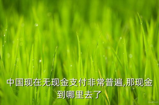 中國(guó)現(xiàn)在無現(xiàn)金支付非常普遍,那現(xiàn)金到哪里去了