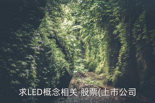 求LED概念相關 股票(上市公司