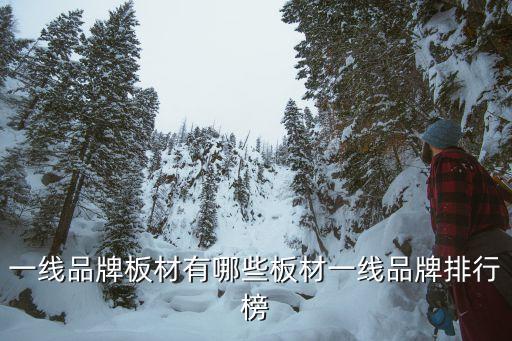 一線(xiàn)品牌板材有哪些板材一線(xiàn)品牌排行榜