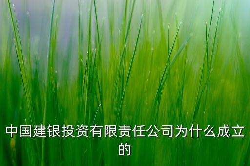 中國(guó)建銀投資有限責(zé)任公司為什么成立的