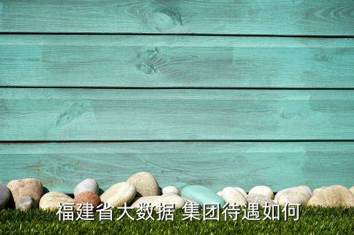  福建省大數(shù)據(jù) 集團待遇如何