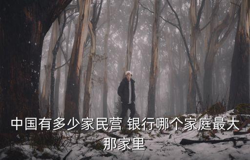 中國有多少家民營 銀行哪個(gè)家庭最大那家里
