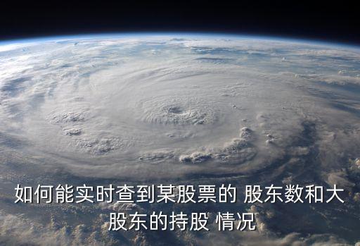如何能實時查到某股票的 股東數和大 股東的持股 情況