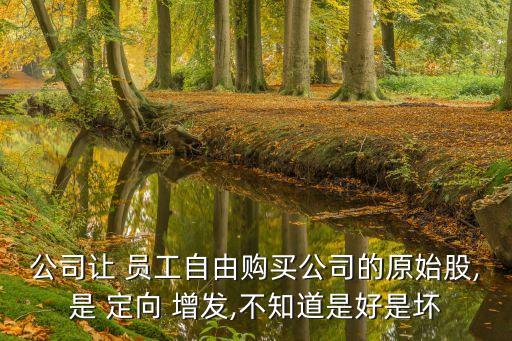 定向增發(fā)買(mǎi)的股票員工辭職,向員工定向增發(fā)股票是為激勵(lì)