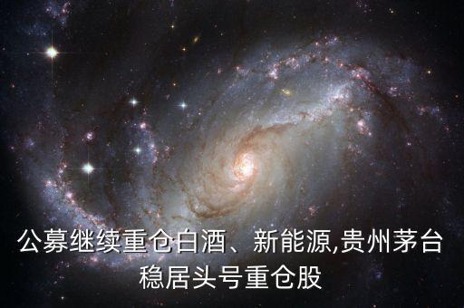 公募繼續(xù)重倉白酒、新能源,貴州茅臺(tái)穩(wěn)居頭號(hào)重倉股