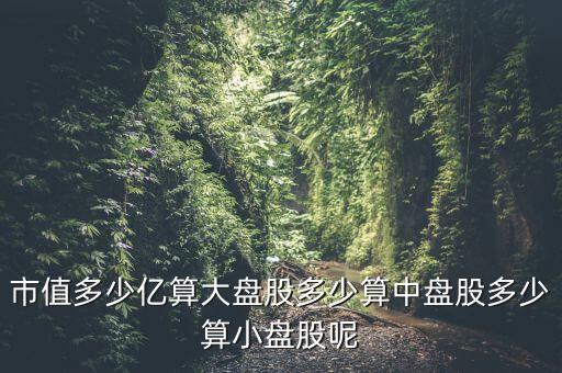流通盤(pán)小于1億股票