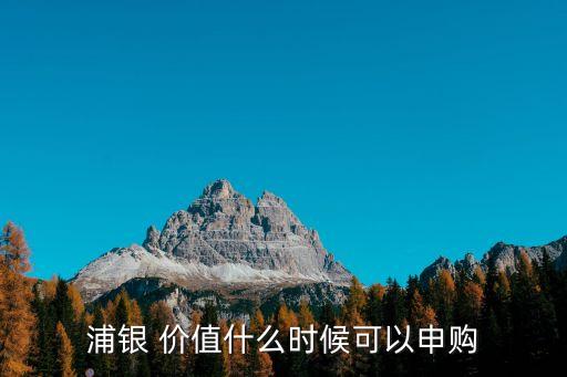 浦銀 價(jià)值什么時(shí)候可以申購