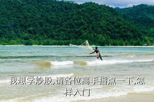 中百集團(tuán)千股千評(píng),永輝中百集團(tuán)占股比例