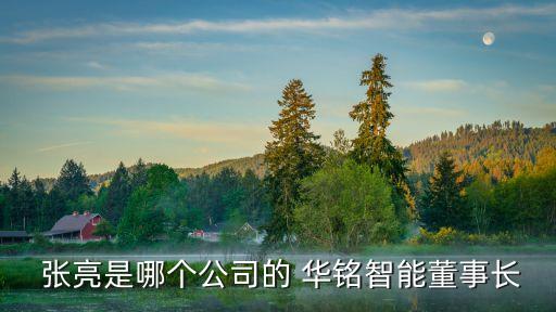  張亮是哪個(gè)公司的 華銘智能董事長(zhǎng)