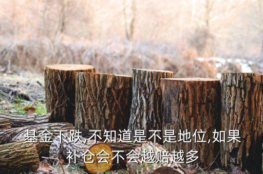  基金下跌,不知道是不是地位,如果 補(bǔ)倉(cāng)會(huì)不會(huì)越賠越多