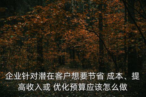 保險公司財務成本優(yōu)化方案